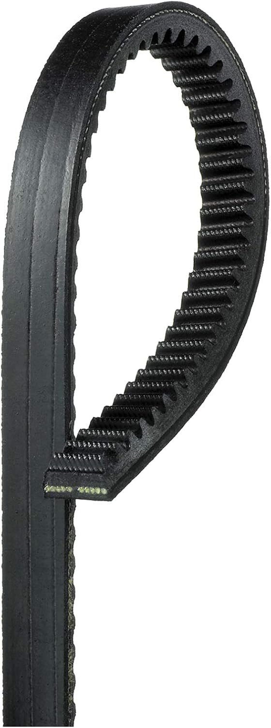 Conti belt BX61